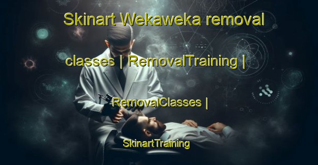 Skinart Wekaweka removal classes | RemovalTraining | RemovalClasses | SkinartTraining-New Zealand
